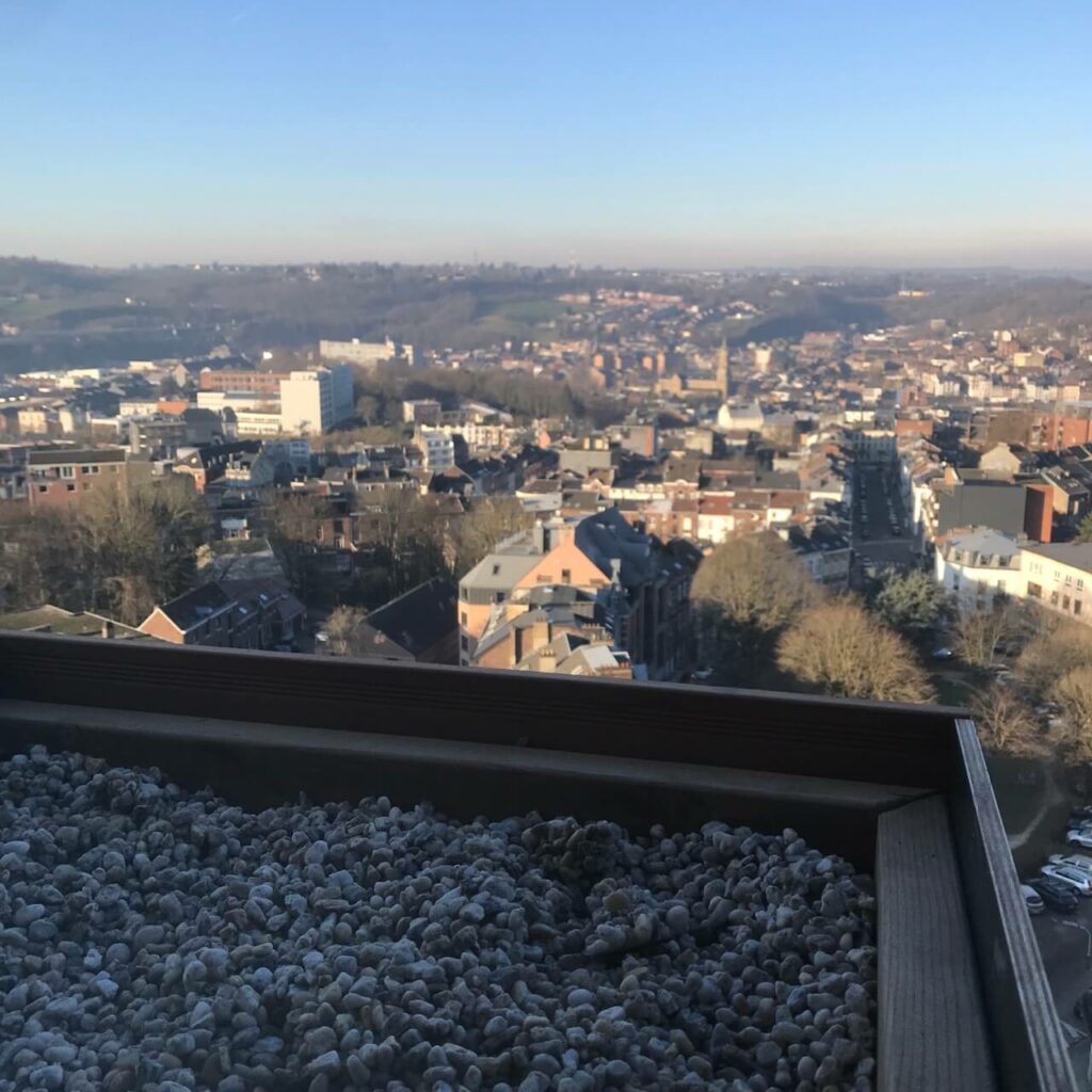 La vue qu'aurons les faucons pèlerins sur Verviers.