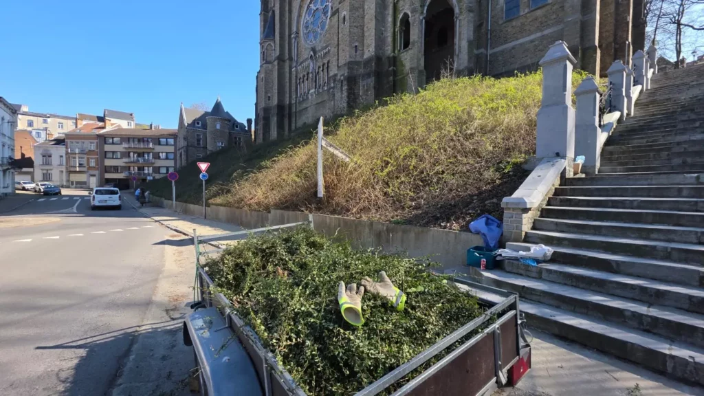 Le Comité culturel et la Fabrique de Sainte-Julienne, avec l'aide des Voisins des Boulevards, organisent un grand nettoyage de printemps le samedi 21 mars dès 10h. - chasse aux poussieres 2026 ste julienne verviers 3