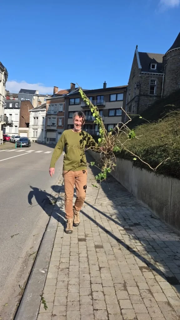 Le Comité culturel et la Fabrique de Sainte-Julienne, avec l'aide des Voisins des Boulevards, organisent un grand nettoyage de printemps le samedi 21 mars dès 10h. - chasse aux poussieres 2026 ste julienne verviers 4